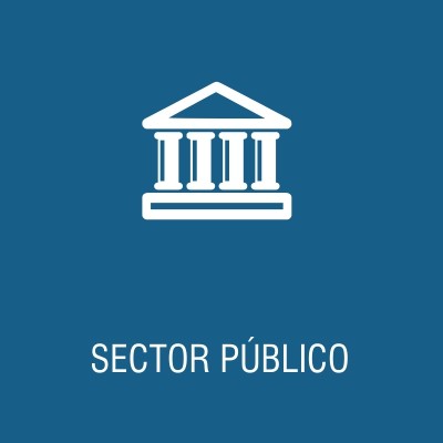 Sector Público